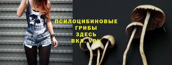 герыч Корсаков