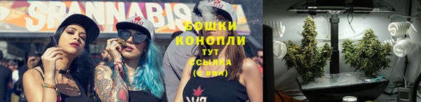мдпв Козловка