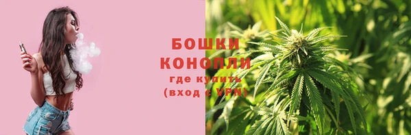 ГАЛЛЮЦИНОГЕННЫЕ ГРИБЫ Краснотурьинск