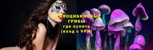 герыч Корсаков
